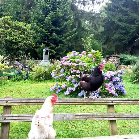 Holiday home Retreat Remscheid