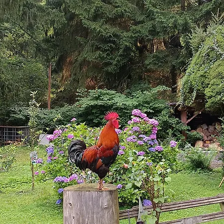 Retreat Holiday home *