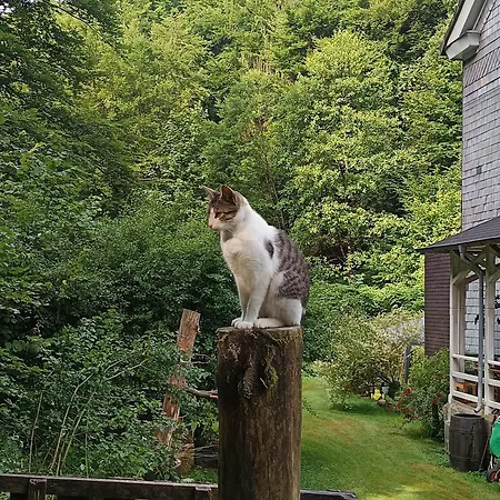 Retreat Holiday home