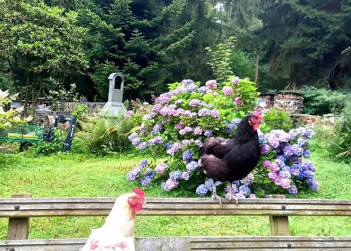 Hébergement de vacances Retreat Remscheid