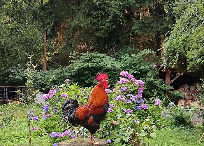 Retreat Hébergement de vacances *