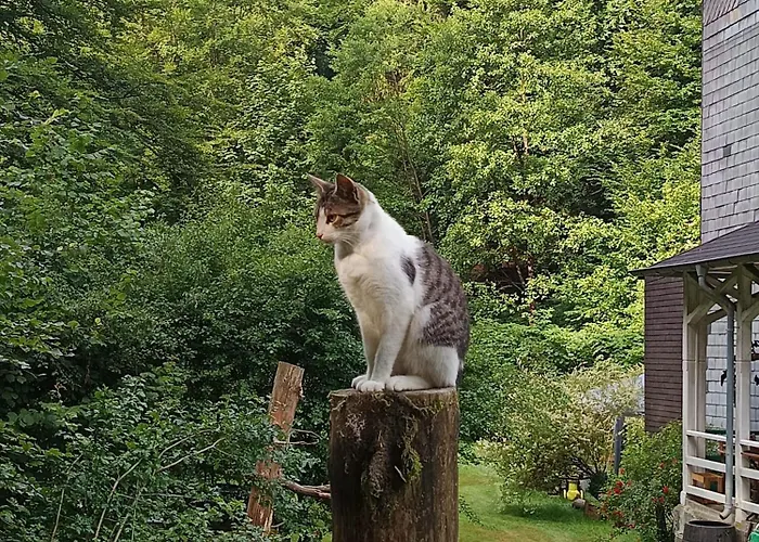 Retreat Hébergement de vacances